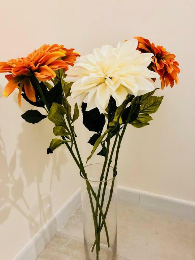 Sogni D'Oro Apartment Bari Luaran gambar